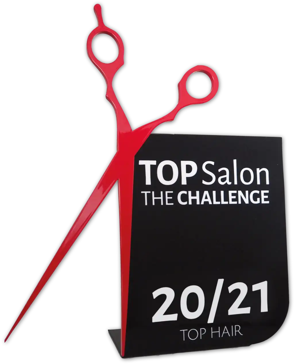Link zu den TOP Salon Awards 21/22 von TOP HAIR International GmbH.